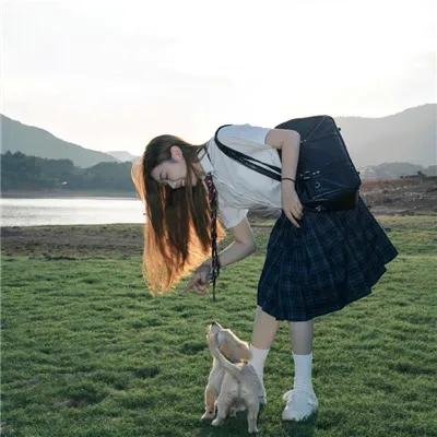 来自日本的机器狗